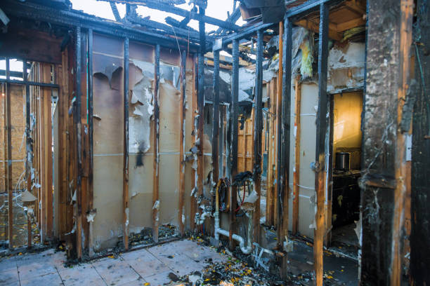 Professional Smoke Damage Removal technician working in Kamas, UT